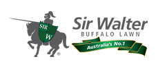Sir Walter Australia's no.1 buffalo lawn